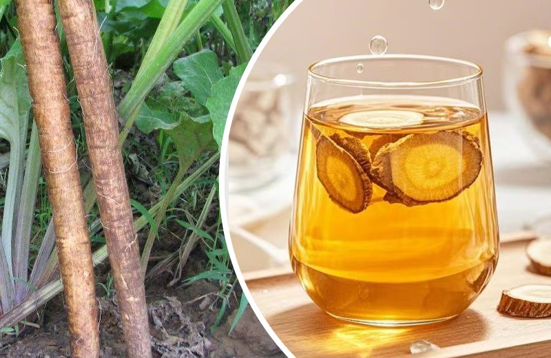 徐州牛蒡茶怎么样？价格如何？一篇让你秒懂的指南！
