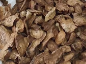 徐州沛县：航天牛蒡“种”出致富路