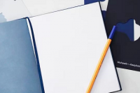 新手拼多多开店低价厮杀突围，C2M定制日销5万单模型